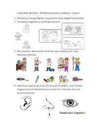 Ce forma de evaluare initiala aplici si de ce? Fise De Evaluare Initiala Clasa 0 Pregatitoare Mem Stiinte Ale Naturii Fise De Lucru Gr Nick Jr Coloring Pages Coloring Pages Coloring Pages For Kids