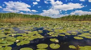 Implementarea strategiei integrate de dezvoltare durabilă a deltei dunării implementarea mecanismului. Contracte De 840 De Milioane De Euro In Cadrul Iti Delta DunÄrii Subiectiv De Tulcea Cotidianul Cu Stiri Pe Surse