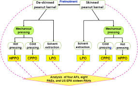 Comparison Of De Skin Pretreatment And Oil Extraction On Aflatoxins Phthalate Esters And Polycyclic Aromatic Hydrocarbons In Peanut Oil Sciencedirect