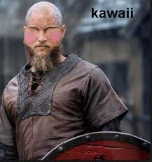 my friend told me about viking anime : dankmemes