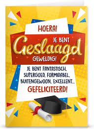 Zo zet je je kind extra in het zonnetje. Bol Com Geslaagd Ballon Gefeliciteerd