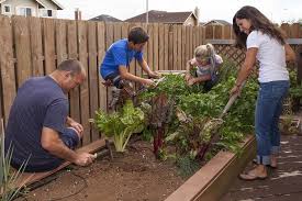 If the soil is too cold, some seeds won't germinate. 10 Things You Can Do To Improve Your Home Garden Right Now West Hawaii Today