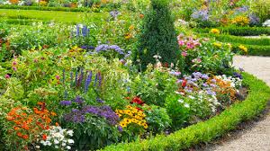 The freedom to relocate your flowers around and also make your outside space look different on a daily basis is a deluxe that not all garden enthusiasts have. Plants That Do Well In Direct Sun And Plants That Don T