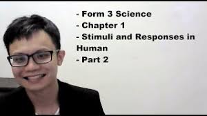 Below are some of the experiments i had done in class however, i changed to use metre rule instead. Form 3 Science Chapter 1 Stimuli And Responses In Human Part 1 Youtube