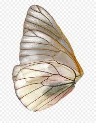 Fairy Wings Side View Collage Design Collage Art Art