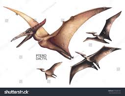 Watercolor Flying Pterodactyls Hand Painted Dinosaurs Isolated On White Background Predator Ani Animal Paintings Acrylic Dinosaur Pictures Prehistoric Period