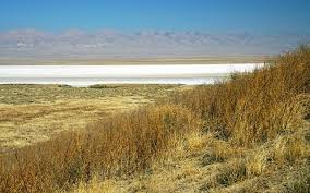 Find yourself with a kitchen conundrum? Carrizo Plain National Monument The Nature Conservancy In Ca