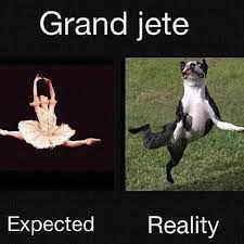 Haha For Reals The First One Is What I Think I Look Like The Second Is What I Actually Look Like When I Look In The Mirr Dance Memes Dance Quotes