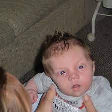 nicholastrotti's collection