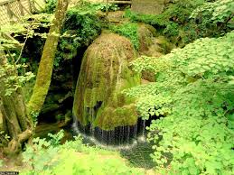 Hidden in the anina mountains, bigar waterfall is truly spectacular. 44 Beautiful Waterfall Cascada Bigar In Romania Ideas Beautiful Waterfalls Waterfall Beautiful Places To Visit