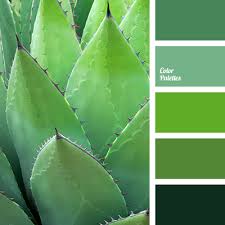 The equivalent rgb values are (158, 203, 145),. Pastel Green Color Palette Ideas