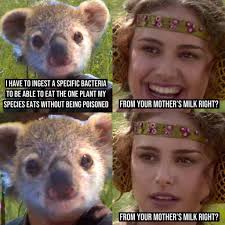 Worm species visual encyclopedia for learning