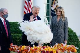 Arpaio hadn't applied for the pardon. Trump Pardons Turkey Talks Dow Vaccines And America First National News Us News