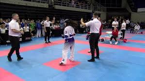 Nawid Hafizi v Daniel Bienert Dutch Open 2013