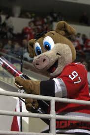 See what gear your favorite players use. Top Ten Worst Nhl Mascots Bleacher Report Latest News Videos And Highlights