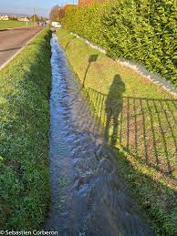 Parit lintang is a ditch in johor and has an elevation of 10 metres. Photo Malay Le Petit Photos Pictures Malay Le Petit 89100