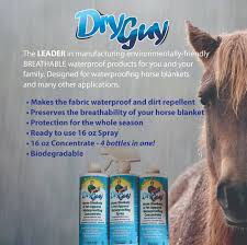 Dry Guy Waterproofing Nwequine Com