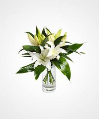 Buket meja bunga segar | bouquet meja. Rangkaian Bunga Gift Wrapped Lilies Olusta