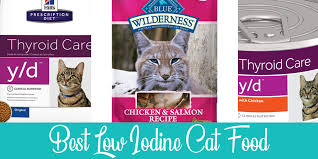 Our clinical animal nutritionist marge chandler has advised on dietary changes here we look at the different options and speak to clinical animal nutritionist marge chandler for her advice on dietary changes. The Best Low Iodine Cat Food In 2021 Raise A Cat