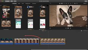 After adding your text overlay, click the play icon to preview the result. How To Create A Picture In Picture Video In Imovie On Mac And Ios