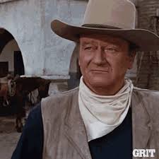John Wayne GIFs