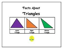 Facts About Triangles Math Vocabulary Elementary Math Facts