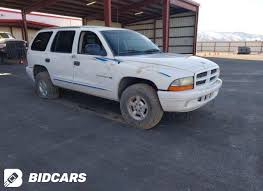 Image result for Bright White 2001 Durango