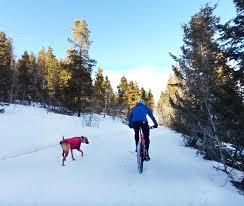 Dog Friendly Winter Hikes In Estes Park In 2020 Winter Hiking Park Trails Mountain Bike Trails