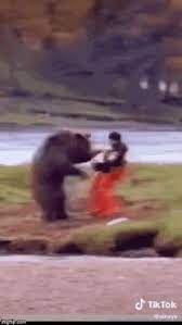 There have been many satirical memes about russia's announcement one of the most popular being shared portrays mr putin riding a bear with a giant syringe strapped to his back. Bear Fight Gifs Tenor