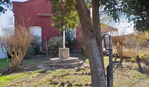 El jardín de la estación. Banderalo Noticias Una Planta Para El Jardin De La Estacion