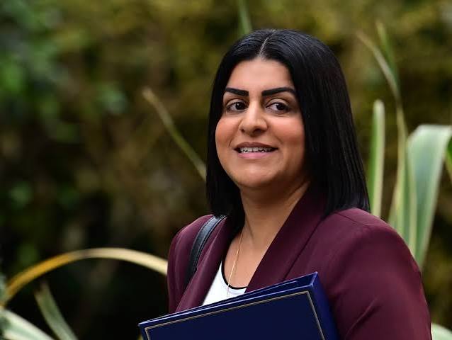 Shabana Mahmood warned of risk to pregnant women in halting Sentencing Council guidelines | Sentencing | The Guardian