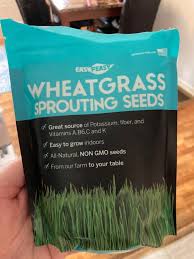 Let it grow don't let your cat eat the cat grass until it grows tall enough (about 4 to 6 inches high). How To Grow Cat Grass Indoors Ultimate Beginners Guide Happy Cat Corner