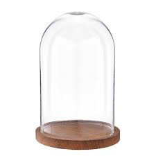 Maybe you would like to learn more about one of these? Glass Display Cloche Bell Jar Dome Dried Flower Vase Craft With Wood Base 3 Floral Decor Home Decor