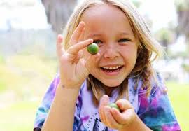 Santa Barbara Lawyer