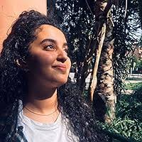 Reel Bad Arabs: How Hollywood Villifies a People by Jack G. Shaheen