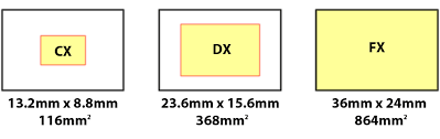 Nikon Sensor Size Fx Dx Cx