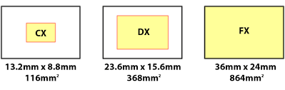 nikon sensor size fx dx cx