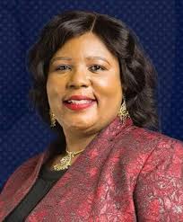 Introduction of new members to Indigenous Democrats group