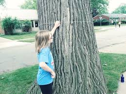 The present big tree, also in cass co. The 2019 Michigan Big Tree Hunt Contest Is On