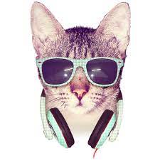 Cool Cat Shirts By Design By Humans On Deviantart Cool Cats Hipster Cat Cat Tshirt