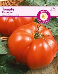Normalmente se cuenta una desventaja enorme frente a ello. Tomate Marmande Fleischtomatensamen Von Carl Pabst Samenhaus Samen Samereien