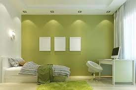 Asian Paints Royale 20 Ltr