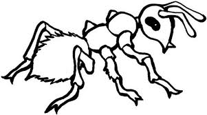Black and white ant clip art. Ant Color Page Coloring Home