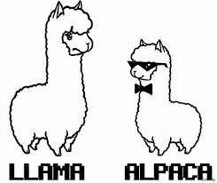 10 cute llama coloring pages for toddlers. Cartoon Llama Coloring Pages Coloring And Drawing