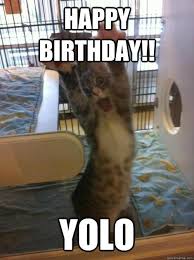 Image result for funny cat birthday meme