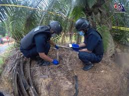 Penyebab ladang kelapa sawit mengalami trek. Jumpa Bom Jenis Meriam Artillery 85mm Di Ladang Sawit