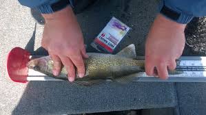 Fall Hog Haul Results.