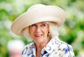 King Charles buys £3 million house next to Camilla's private Wiltshire home 