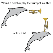Would A Dolphin Play The Trumpet Like This Or Like This Meme Shut Up And Take My Money Daily Funny Funny School Memes Memes