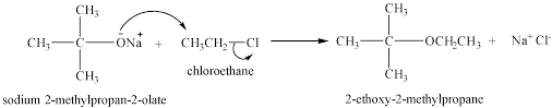 This organic chemistry video tutorial provides a basic introduction into the williamson ether synthesis reaction mechanism. Williamsons Synthesis Uses Mechanism A Sn1 B Sn2 C Class 12 Chemistry Cbse
